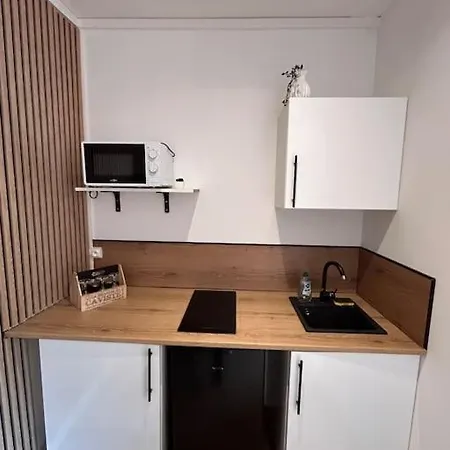 Le Nid Tranquille De Nancy