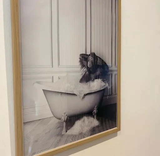 Le Nid Tranquille De 公寓 *