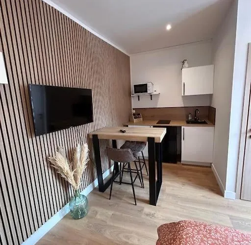 Apartment Le Nid Tranquille De Nancy